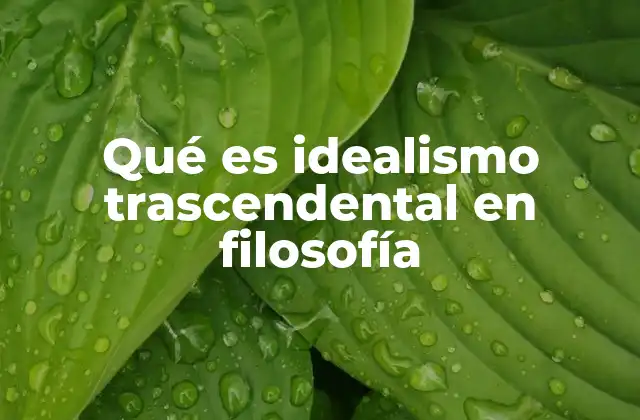 Qué es Idealismo Trascendental en Filosofía