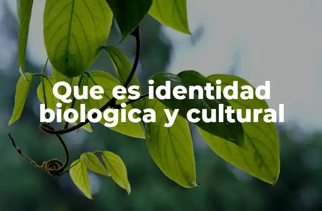 Que es Identidad Biologica y Cultural