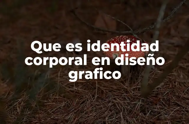 Que es Identidad Corporal en Diseño Grafico