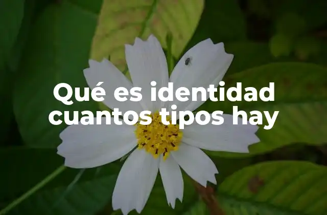 Qué es Identidad Cuantos Tipos Hay