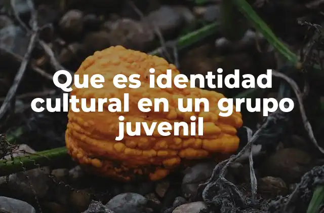 Que es Identidad Cultural en un Grupo Juvenil