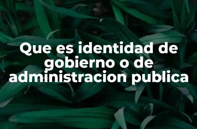 Que es Identidad de Gobierno o de Administracion Publica
