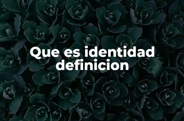 Que es Identidad Definicion