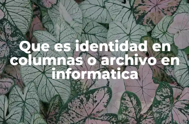 La importancia de la estructura de datos en la gestión de archivos