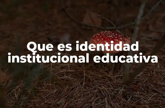 La base filosófica y cultural de una institución educativa