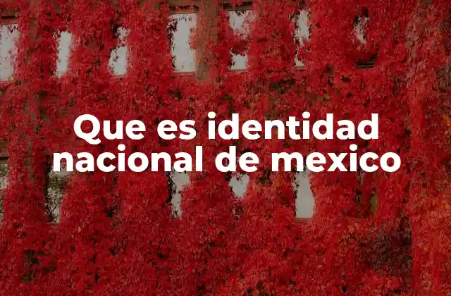 Que es Identidad Nacional de Mexico
