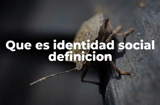 Que es Identidad Social Definicion