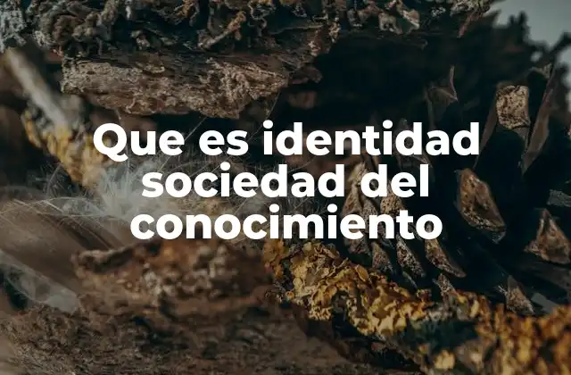 Que es Identidad Sociedad Del Conocimiento