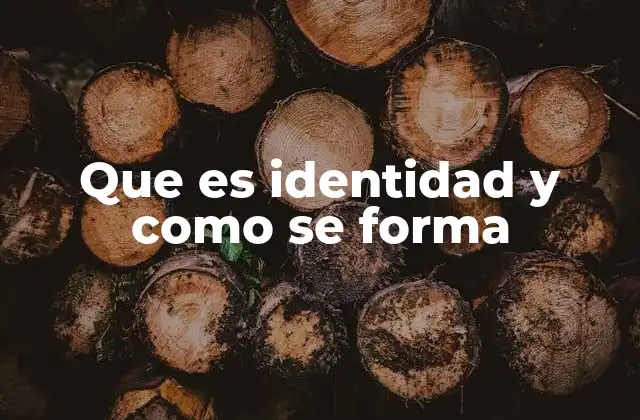 Que es Identidad y como Se Forma