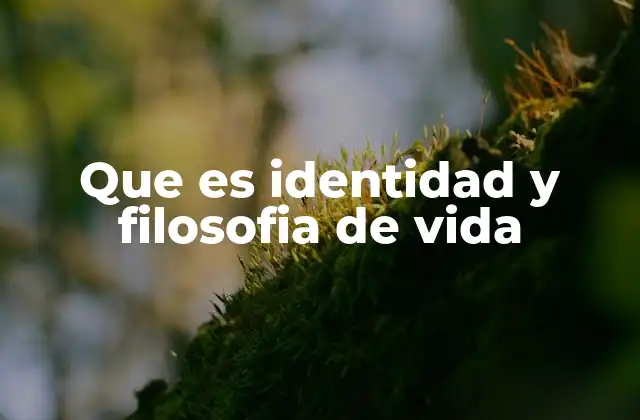 Que es Identidad y Filosofia de Vida