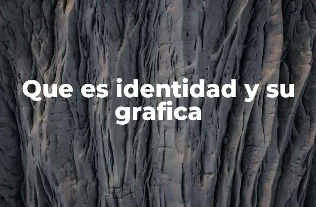 Que es Identidad y Su Grafica
