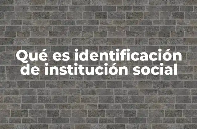 Qué es Identificación de Institución Social