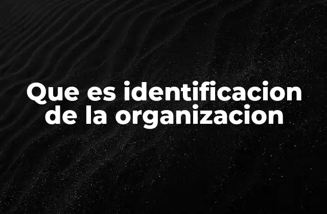 Que es Identificacion de la Organizacion