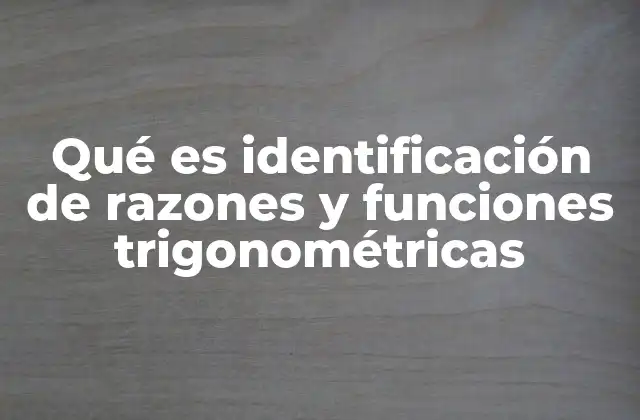 Qué es Identificación de Razones y Funciones Trigonométricas