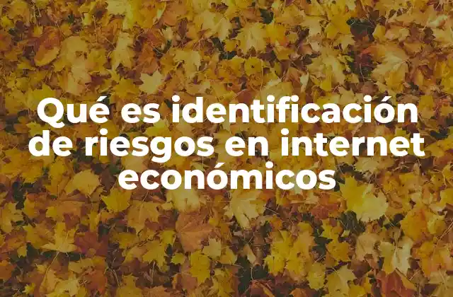 Qué es Identificación de Riesgos en Internet Económicos