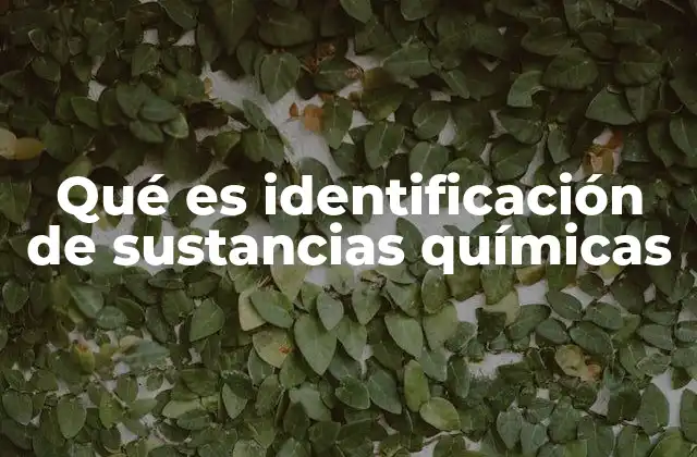 Qué es Identificación de Sustancias Químicas 2 La importancia de conocer la identidad química de una sustancia