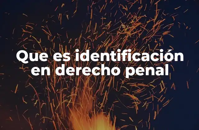 Que es Identificación en Derecho Penal 2 El papel de la identificación en la investigación criminal