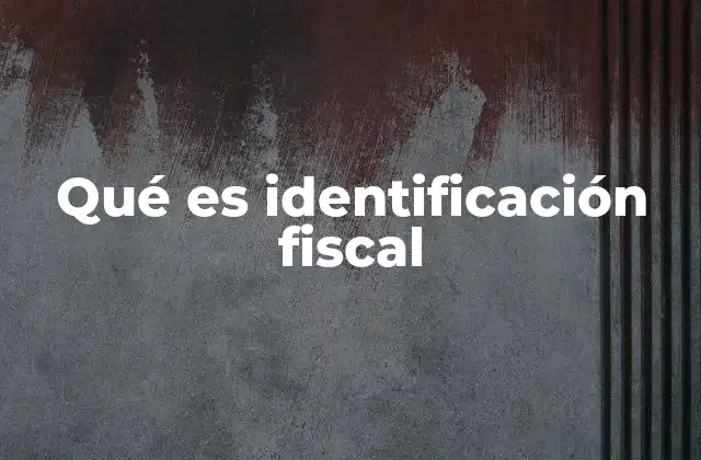 Qué es Identificación Fiscal