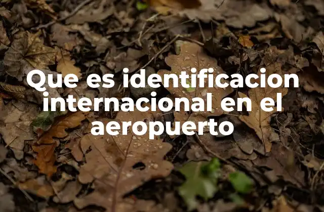 Que es Identificacion Internacional en el Aeropuerto 2 El papel de la identidad en los controles de seguridad aérea
