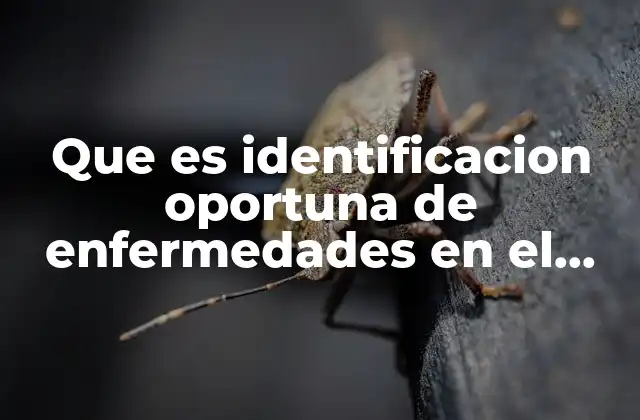 Que es Identificacion Oportuna de Enfermedades en el Niño