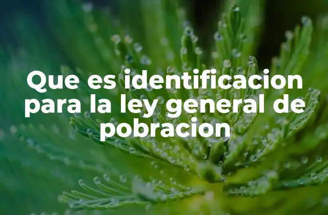 Que es Identificacion para la Ley General de Pobracion