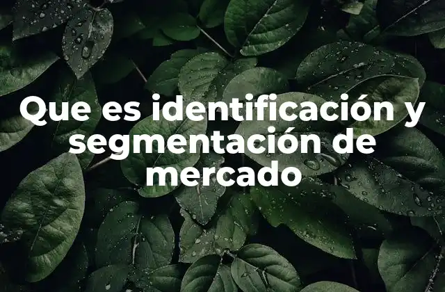Que es Identificación y Segmentación de Mercado