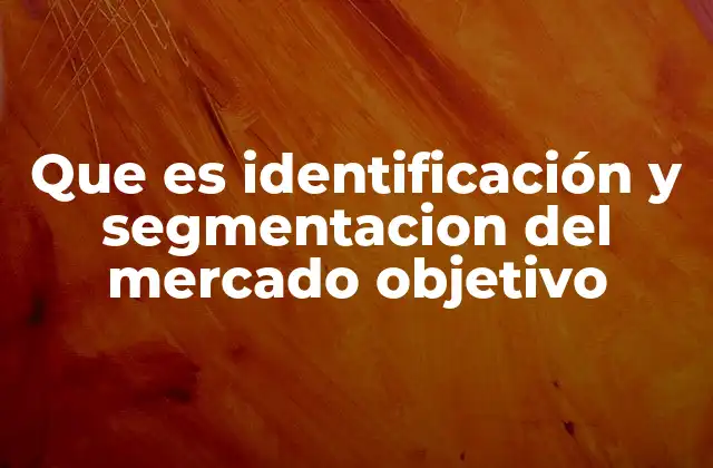 Que es Identificación y Segmentacion Del Mercado Objetivo