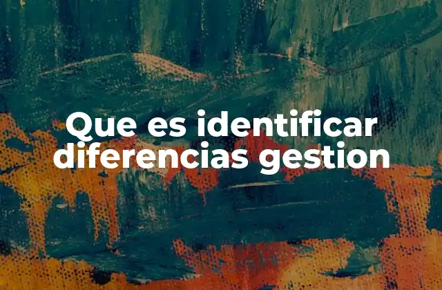 Que es Identificar Diferencias Gestion