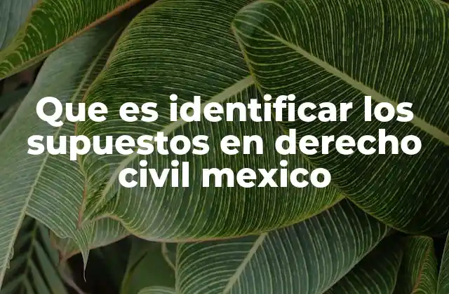 Que es Identificar los Supuestos en Derecho Civil Mexico