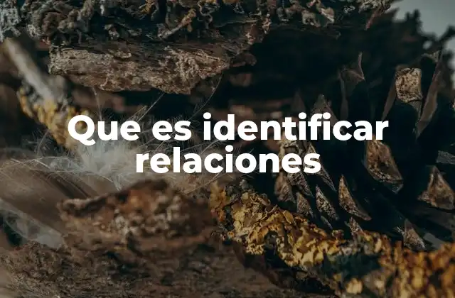 Que es Identificar Relaciones