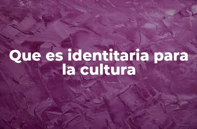 Que es Identitaria para la Cultura