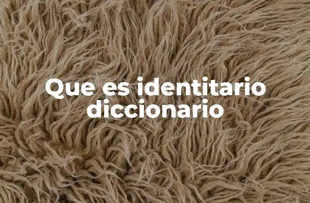 Que es Identitario Diccionario