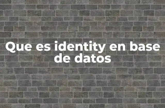 Que es Identity en Base de Datos