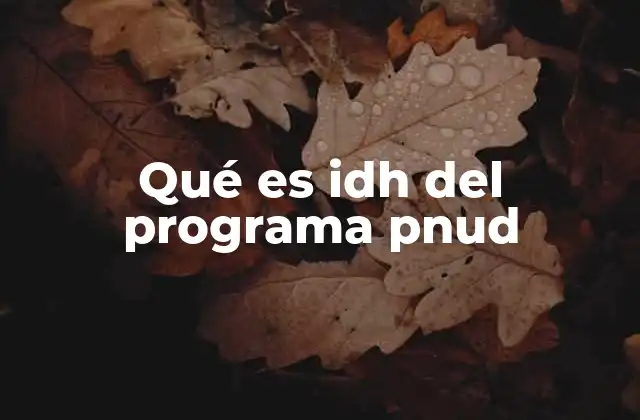 Qué es Idh Del Programa Pnud