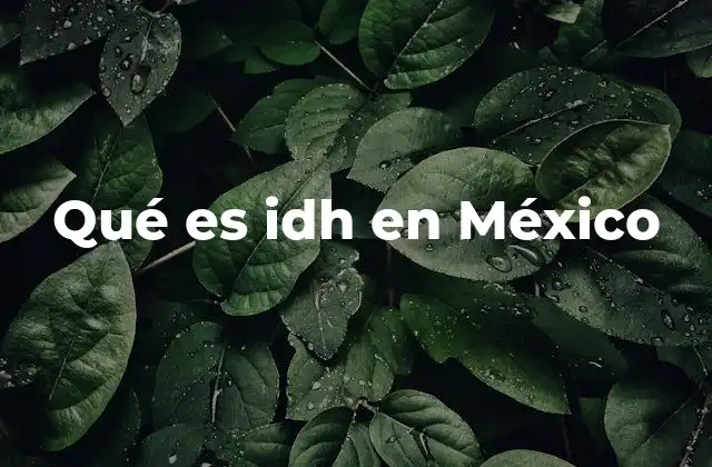 El papel del IDH como herramienta de análisis social en México