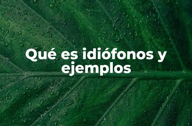 Características principales de los idiófonos