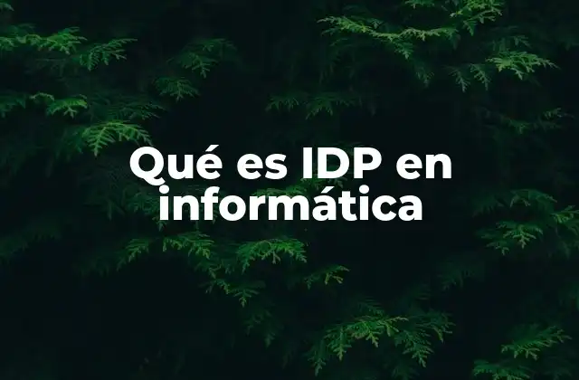 Qué es Idp en Informática