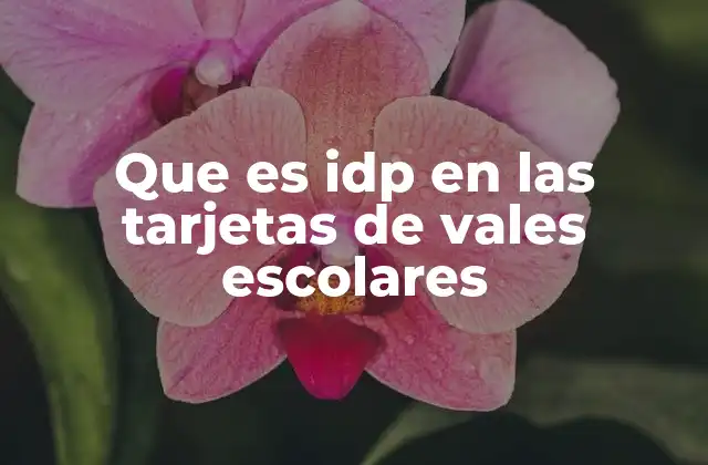 Que es Idp en las Tarjetas de Vales Escolares