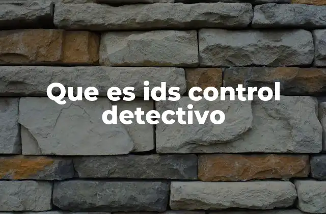 Que es Ids Control Detectivo