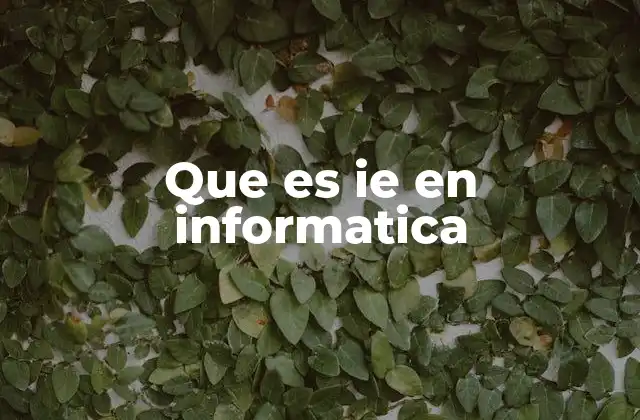 Que es Ie en Informatica