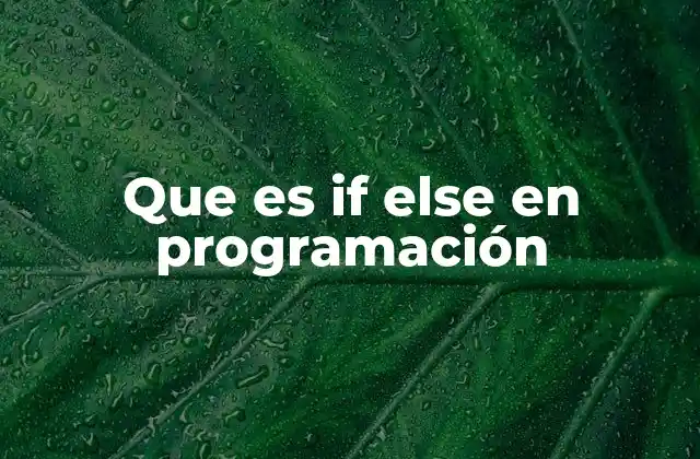 Que es If Else en Programación