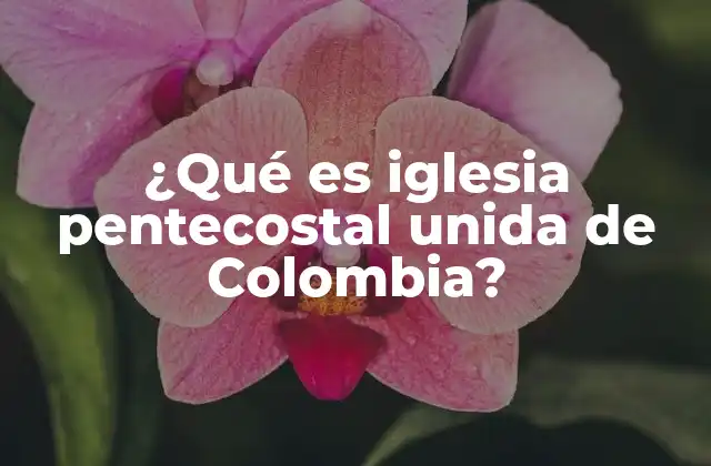 ¿qué es Iglesia Pentecostal Unida de Colombia?