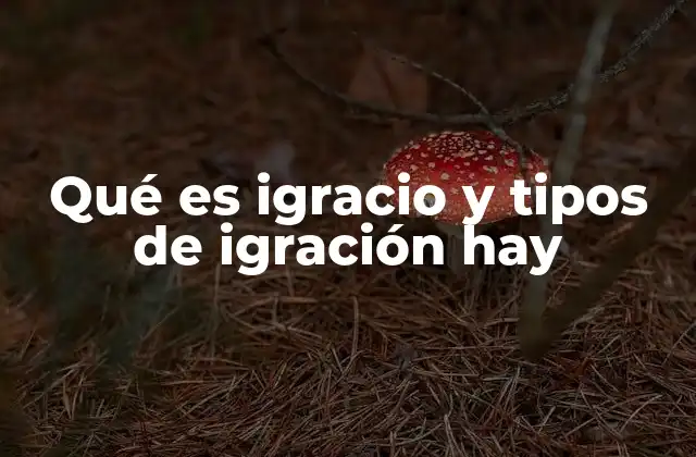 Qué es Igracio y Tipos de Igración Hay