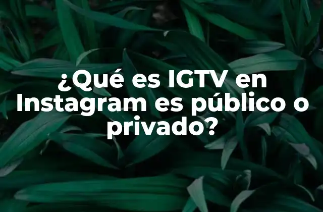 ¿qué es Igtv en Instagram es Público o Privado? 2 La importancia de la visibilidad en contenido de video en Instagram