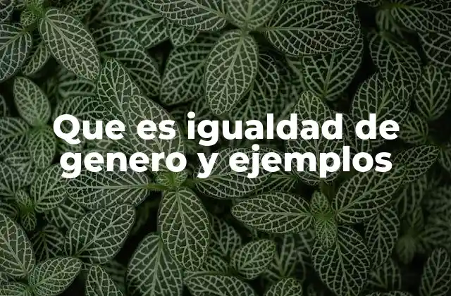 Que es Igualdad de Genero y Ejemplos