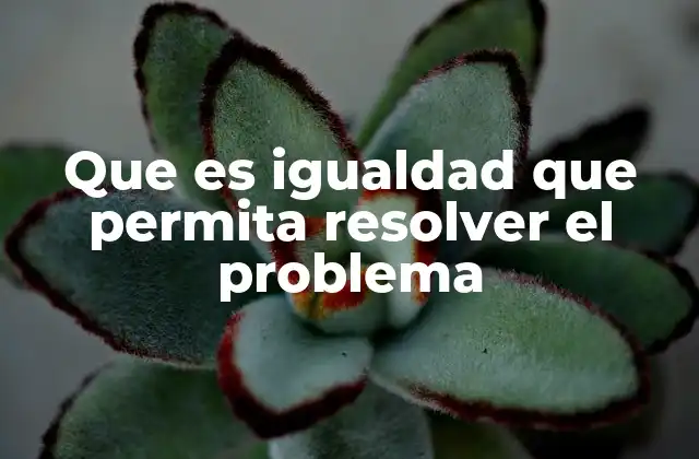 Que es Igualdad que Permita Resolver el Problema