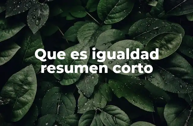 Que es Igualdad Resumen Corto