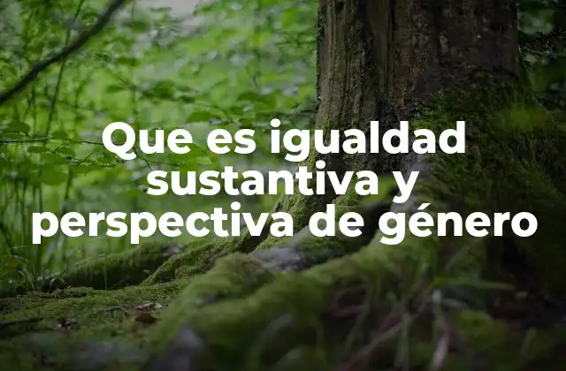 Que es Igualdad Sustantiva y Perspectiva de Género