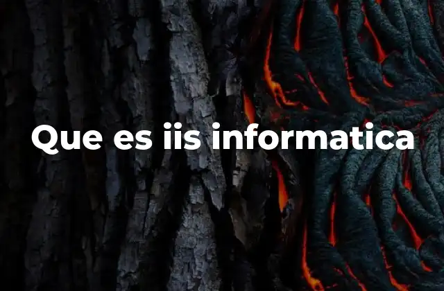 Que es Iis Informatica