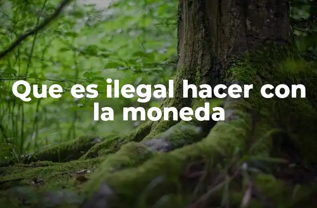 Que es Ilegal Hacer con la Moneda